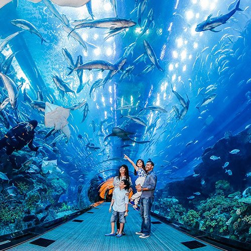 dubai-mall-aquarium