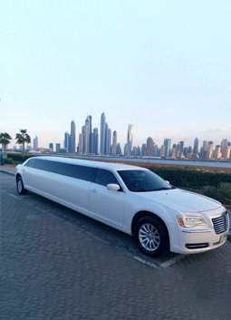 limousine-tour